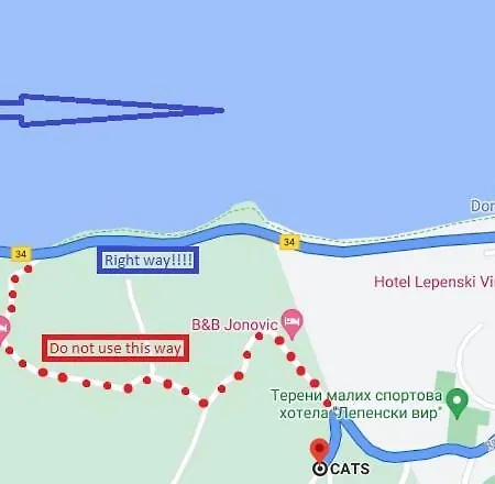 Cats * Donji Milanovac