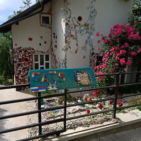 Cats Apartment *