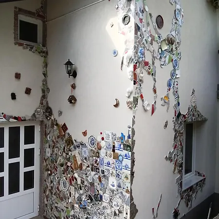 Cats Donji Milanovac