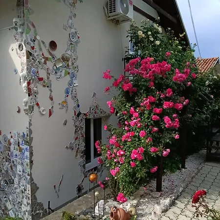 Cats Apartment