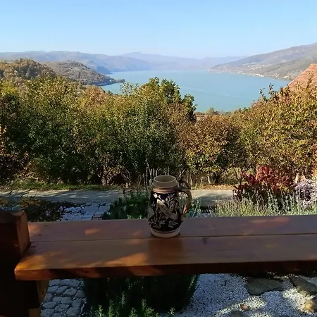 Cats * Donji Milanovac