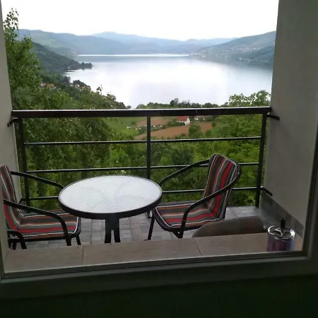 Cats Donji Milanovac