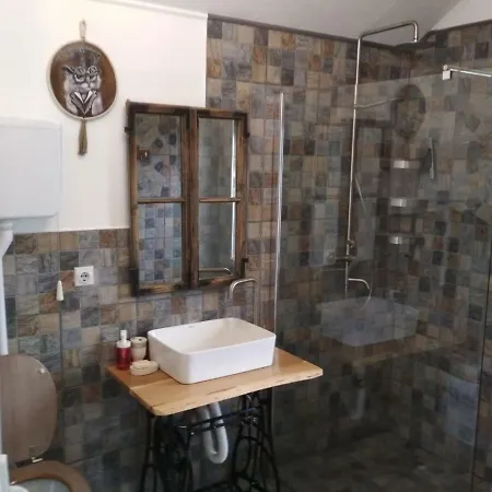 Cats Donji Milanovac