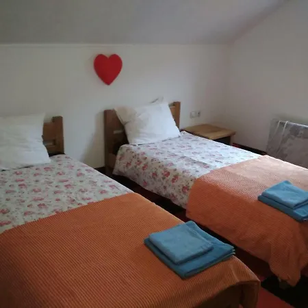 Cats Apartment *