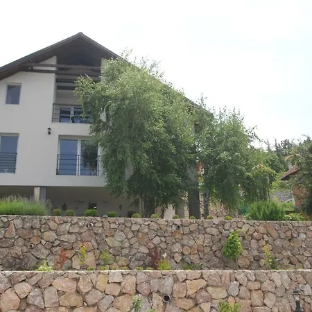 Cats Donji Milanovac