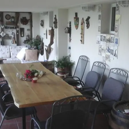 Cats Donji Milanovac