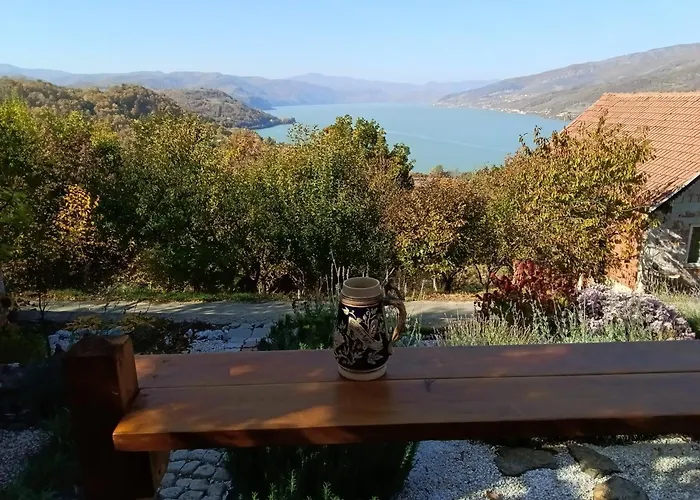 Cats * 돈지 밀라노바츠