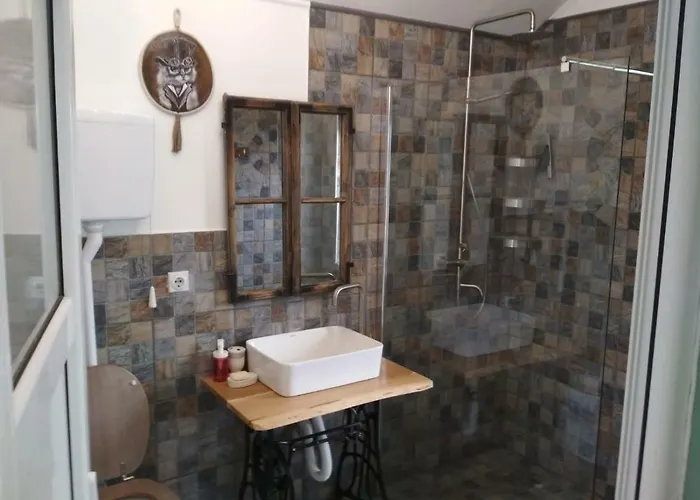 Cats 돈지 밀라노바츠